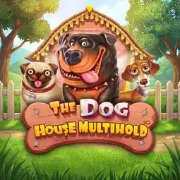 The Dog House Multihold chez Cresus Casino pour les joueurs en France The Dog House Multihold chez Cresus Casino pour les joueurs en France